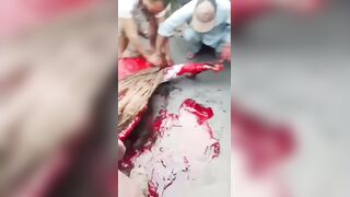 CLASSIC Man Dies As Kite String Slit His Throat In Faisalabad Pakistan