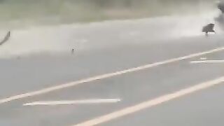 Motorcyclist Enters The Opposite Lane, Injured In Head On Collision