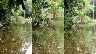 Nice serene scene of the trees and pond