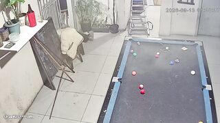 Wild Shooting Inside Crowded BarLeaves One Dead
