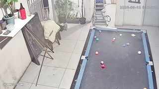Wild Shooting Inside Crowded BarLeaves One Dead