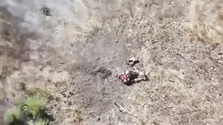 Flexible Ukrainian folds in 2 + No ass/Guts