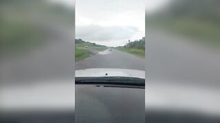 Mitsubishi Truck Overturns Killing One