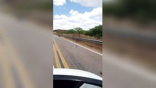Motorcyclist Killed By Hit And Run Driver