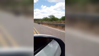 Motorcyclist Killed By Hit And Run Driver