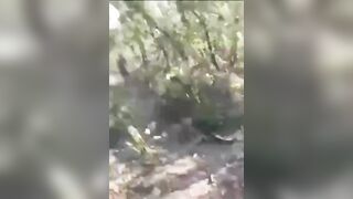 TARAS FORCES KILLED ONE BY ONE BY DRONES AND MINES