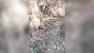 TARAS FORCES KILLED ONE BY ONE BY DRONES AND MINES
