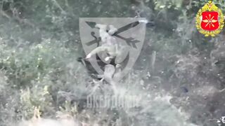 Wounded Ukropithecus suicide.