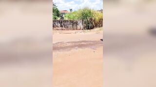 Damn, Poor Motorcycle