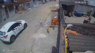 Woman Killed Following Drive-By Shooting In Brazil