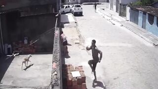 Woman Killed Following Drive-By Shooting In Brazil
