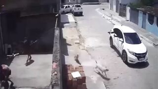 Woman Killed Following Drive-By Shooting In Brazil