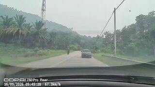 Malaysia Illegal Street Race WINNER