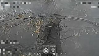 Dirty katsap, watching the Ukr drone, spreads arms and accepted his death