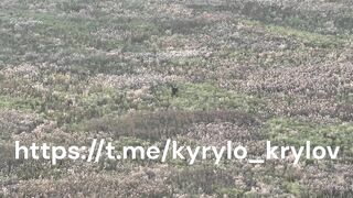 Ukraine drones seek and destroy russian soldiers.