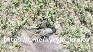 Ukraine drones seek and destroy russian soldiers.