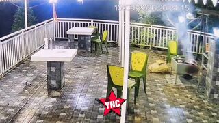 Newlywed Engulfed in Fireball During Honeymoon Barbecue