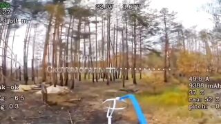 Ukrainian has no ears.