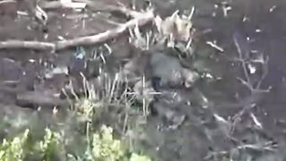Dead Russians by 25th Brigade. #4
