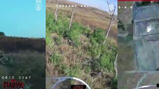 Extermination of Russians by 30th Brigade.