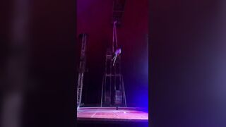 Circus Of Pain.Literally