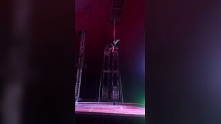 Circus Of Pain.Literally