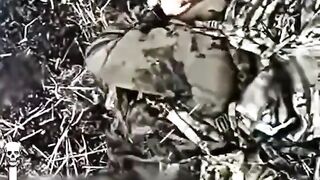 Russian auto-denazification.