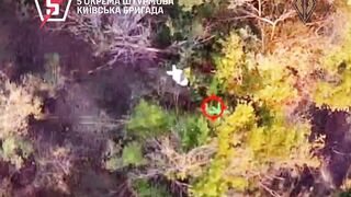 Dead Russians by 5th Brigade. #4