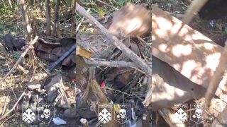 Colombian merc films dead Russians.