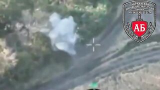 EVERYTHING THAT MOVES HAS TO GO IN UKRAINE