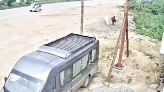 India: Tractor Rear-Ends Auto on 4-Lane, Because Everyone Forgot the Rules