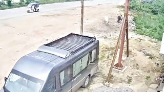 India: Tractor Rear-Ends Auto on 4-Lane, Because Everyone Forgot the Rules