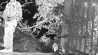 Ukrainian ambush drone blasted a katsap on a crutches