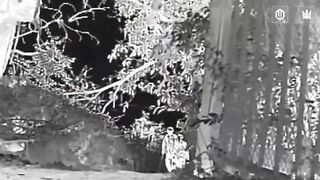 Ukrainian ambush drone blasted a katsap on a crutches