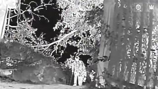 Ukrainian ambush drone blasted a katsap on a crutches