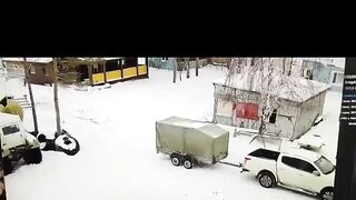 Animals Choose Violence #2 - Compilation