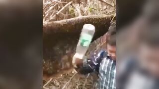 Animals Choose Violence #2 - Compilation