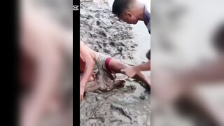 Animals Choose Violence #2 - Compilation