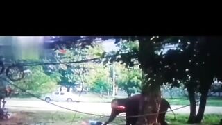 Animals Choose Violence #2 - Compilation