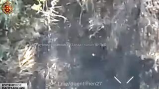 UKRAINIAN SOLDIERS TERMINATED BY DRONES
