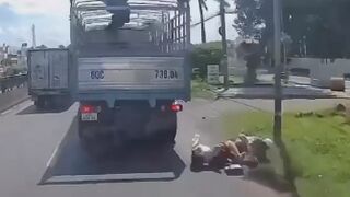 Woman Riding A Moped Falls Head First Under Truck Wheels
