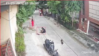 Woman Attacked, Bitten By Stray Dog In India