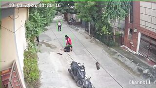 Woman Attacked, Bitten By Stray Dog In India