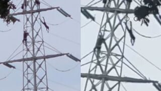 Man Jumps From Transmission Tower In Netherlands, Dies