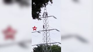 Man Jumps From Transmission Tower In Netherlands, Dies