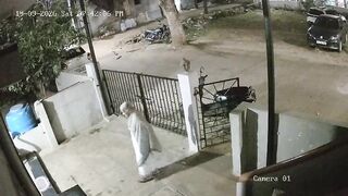 Monkey Attacks 91-Year-Old Woman In India, She Dies Next Day
