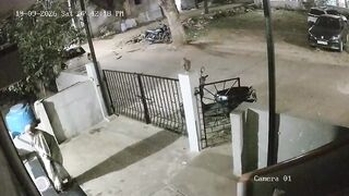 Monkey Attacks 91-Year-Old Woman In India, She Dies Next Day