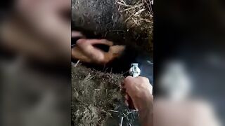 Brutal Classics (Compilation)