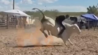 Man Dies After Being Stomped By White Bull In Mexico