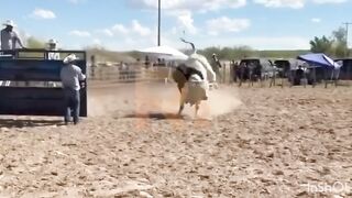 Man Dies After Being Stomped By White Bull In Mexico